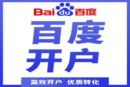 百度推广在电商行业的应用案例分析